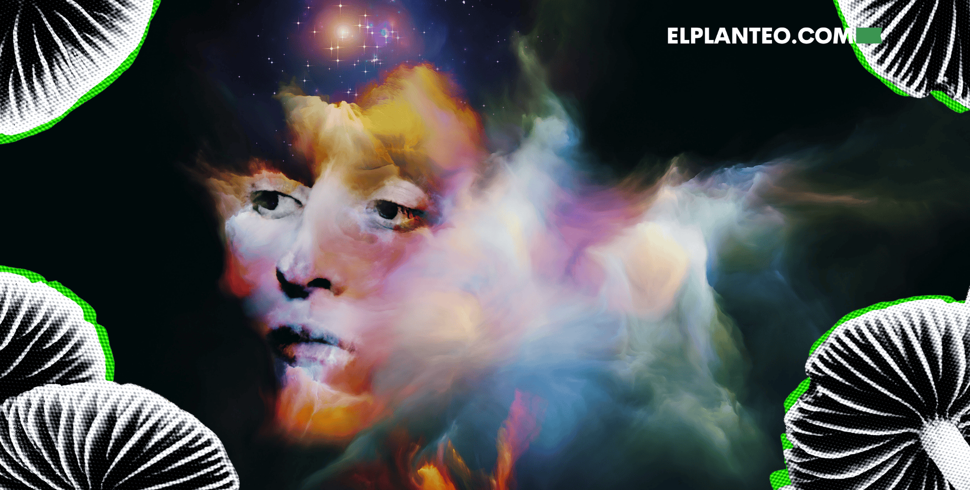 Hongos Mágicos y Tu Cerebro: Por Primera Vez, Logran Mapear Cómo la Psilocibina Reconecta las Neuronas