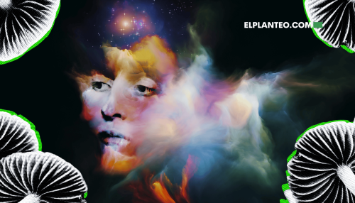 Hongos Mágicos y Tu Cerebro: Por Primera Vez, Logran Mapear Cómo la Psilocibina Reconecta las Neuronas Hongos Mágicos y Tu Cerebro: Por Primera Vez, Logran Mapear Cómo la Psilocibina Reconecta las Neuronas