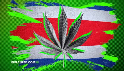Elecciones en Costa Rica: Candidatos Definen Sus Posturas Sobre la Regulación de Uso Adulto del Cannabis Elecciones en Costa Rica: Candidatos Definen Sus Posturas Sobre la Regulación de Uso Adulto del Cannabis