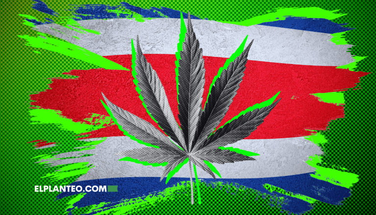 Elecciones en Costa Rica: Candidatos Definen Sus Posturas Sobre la Regulación de Uso Adulto del Cannabis