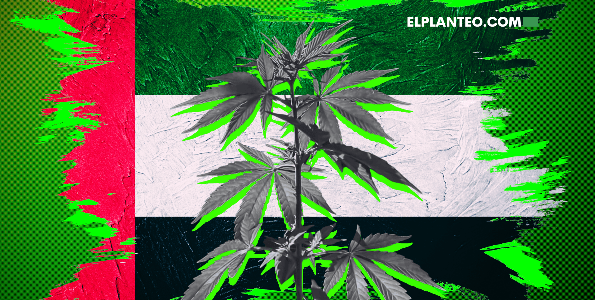 Emiratos Árabes: Luz Verde al Cáñamo Industrial (con un Marco Legal Estricto)