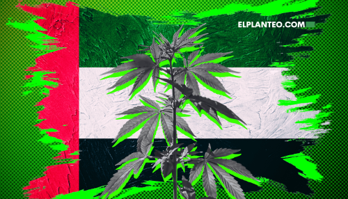 Emiratos Árabes: Luz Verde al Cáñamo Industrial (con un Marco Legal Estricto) Emiratos Árabes: Luz Verde al Cáñamo Industrial (con un Marco Legal Estricto)