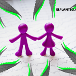 Más de 500 Historias Reales: Qué Revela el Estudio Argentino Más Grande Sobre CBD y Epilepsia Severa en la Infancia