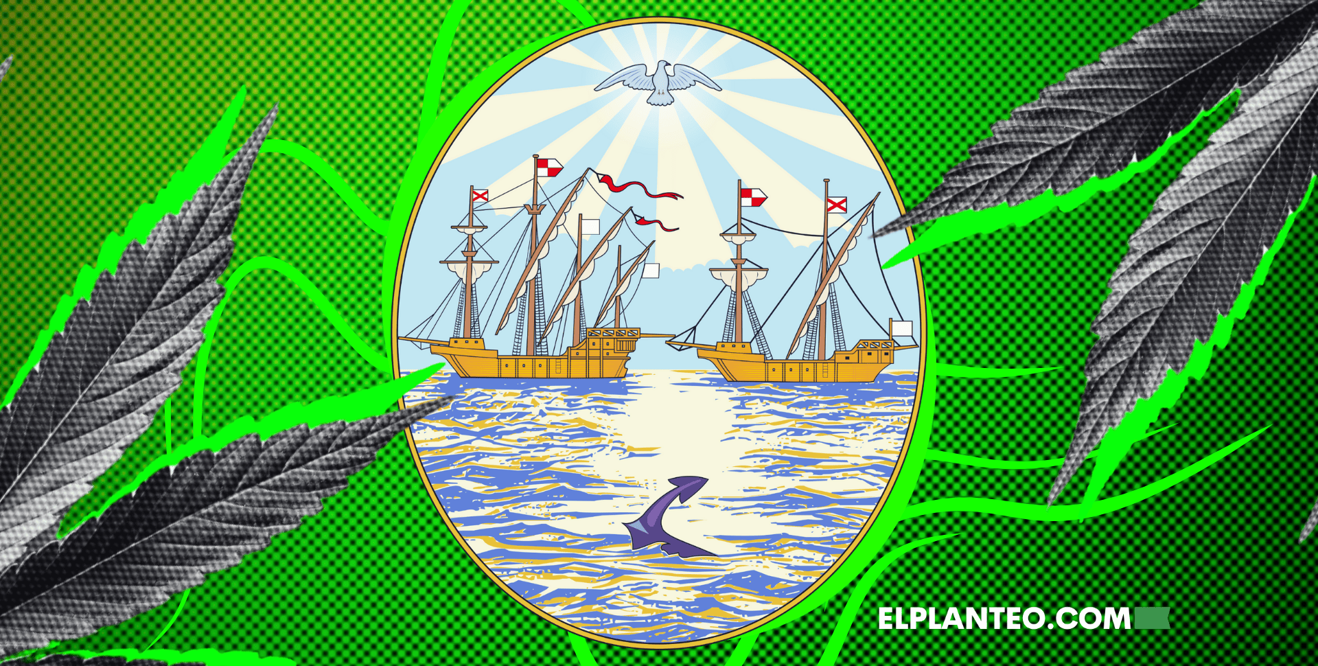 ¿REPROCABA Queda Trunco? LLA y el PRO Impiden el Registro de Cannabis Porteño: Qué Pasó