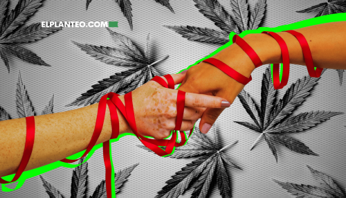 Cómo la Crisis de Sida Dio Lugar a la Legalización del Cannabis en EEUU