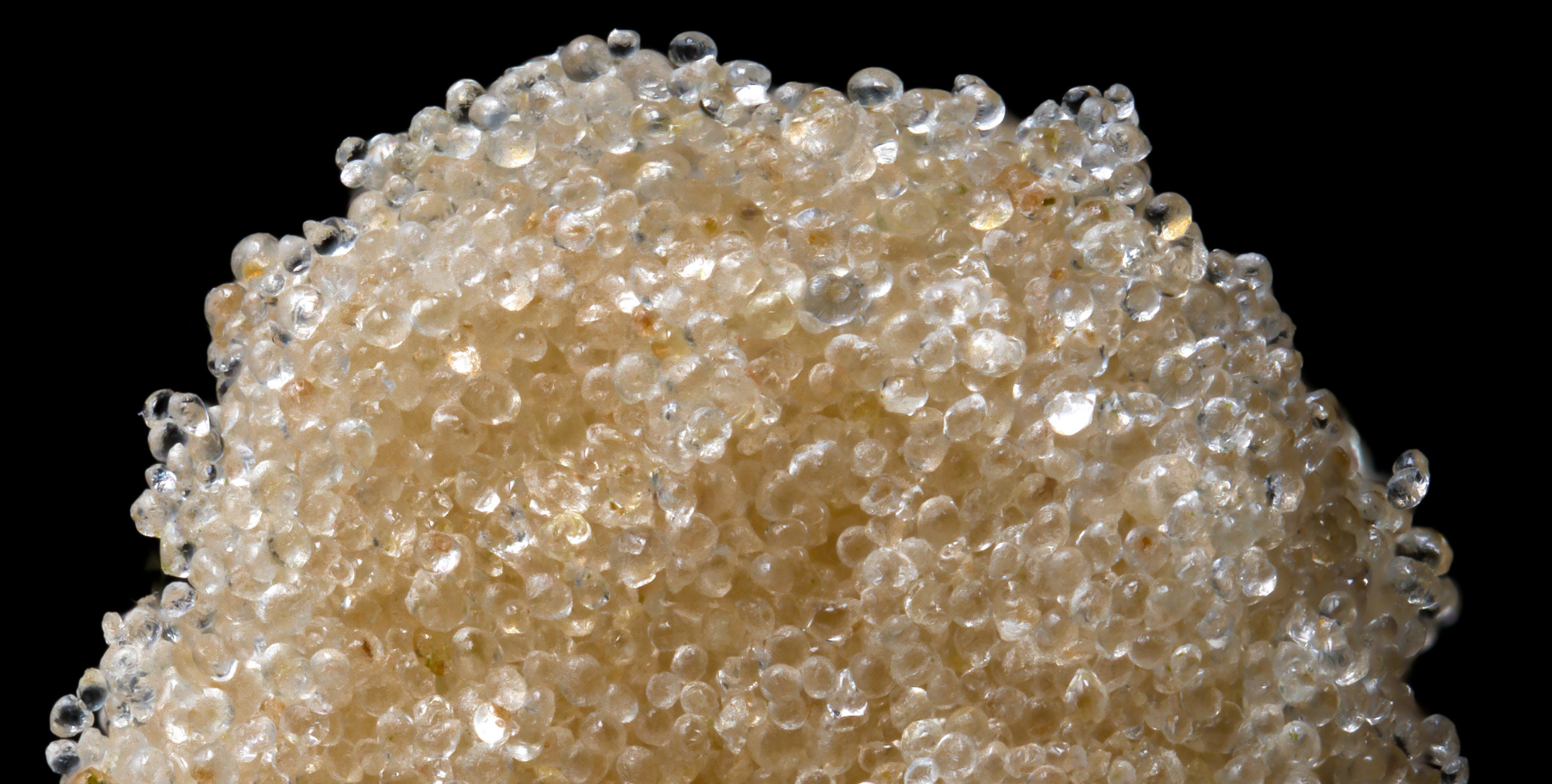 Qué Es el ‘Static Sift’ y Por Qué Es el Futuro Para los Amantes del Hash Qué Es el ‘Static Sift’ y Por Qué Es el Futuro Para los Amantes del Hash