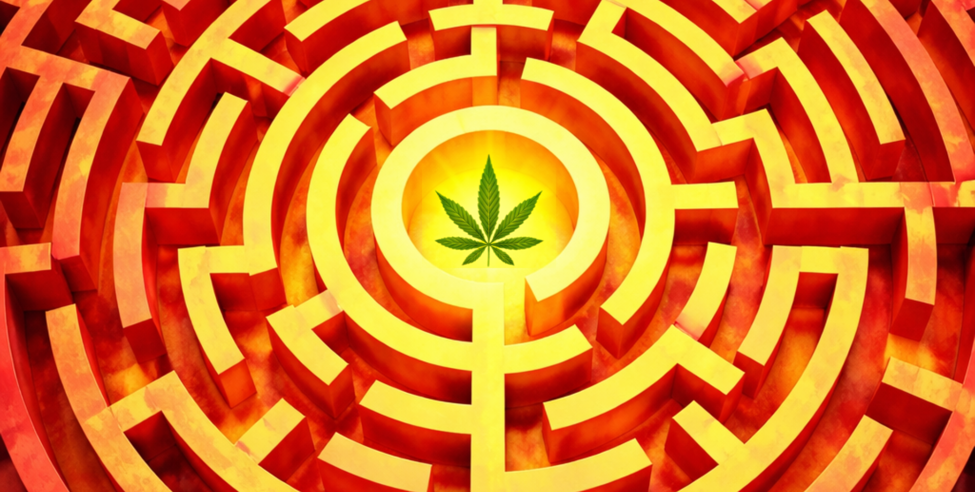 El Laberinto del Cannabis en España: Una Regulación ‘Tímida’ para Un Dolor que No Espera