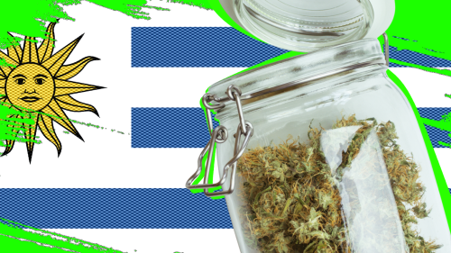 Record Histórico en Uruguay: Se Vendieron Más de 9 Toneladas de Cannabis Legal en 2025 Record Histórico en Uruguay: Se Vendieron Más de 9 Toneladas de Cannabis Legal en 2025