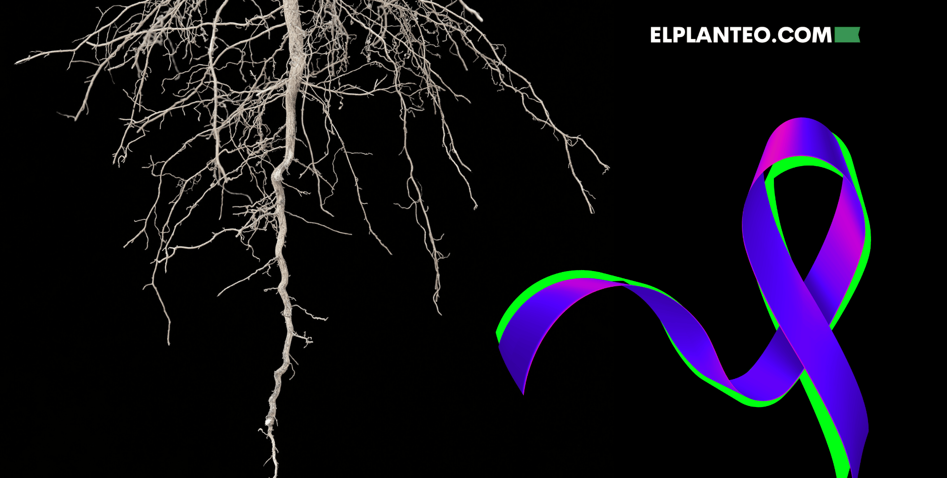Hallan Compuestos con Potencial de Combatir el Cáncer en Raíces del Cáñamo Hallan Compuestos con Potencial de Combatir el Cáncer en Raíces del Cáñamo