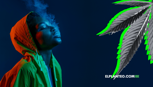 Uso No Es Abuso: Estudio Propone Nuevos Criterios para Diferenciar Patrones de Consumo de Cannabis