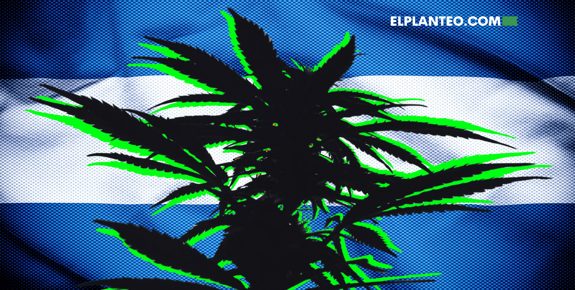 La Última Cosecha del Profe Loozax La Última Cosecha del Profe Loozax