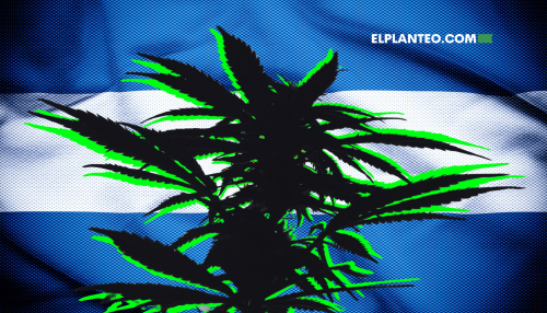 La Última Cosecha del Profe Loozax La Última Cosecha del Profe Loozax