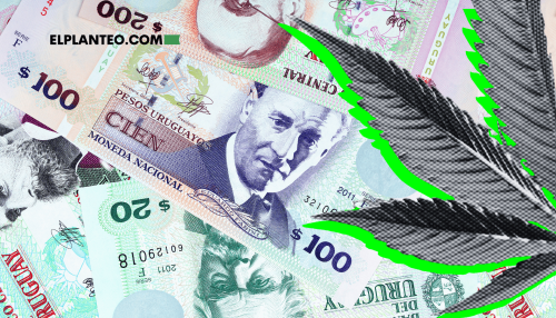 ‘Si Los Fideos Pagan IVA…’: ¿Cuánto Recaudaría Uruguay Si Pone Impuestos al Cannabis? ‘Si Los Fideos Pagan IVA…’: ¿Cuánto Recaudaría Uruguay Si Pone Impuestos al Cannabis?