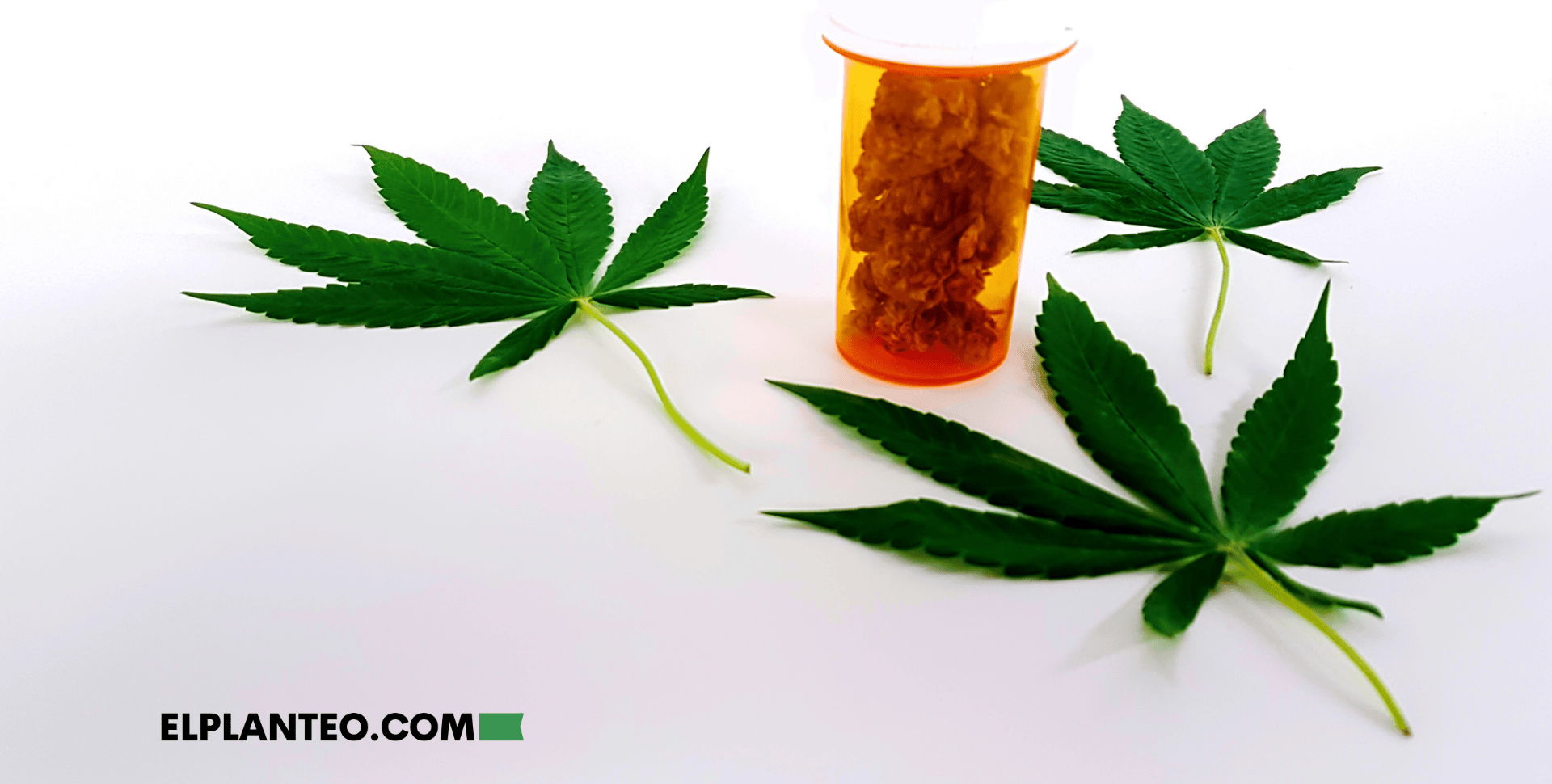 El Cannabis Puede Ser Medicina Sin Ser Panacea, Según Estudio