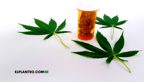 El Cannabis Puede Ser Medicina Sin Ser Panacea, Según Estudio El Cannabis Puede Ser Medicina Sin Ser Panacea, Según Estudio