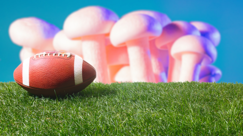 Pesada Es la Cabeza que Lleva el Casco: Jugadores de la NFL se Sinceran sobre el Uso de Psicodélicos