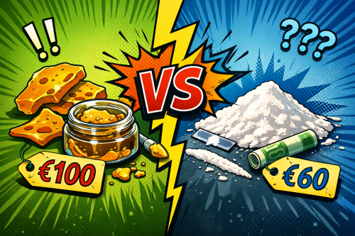 Furor en España: Este Concentrado de Cannabis Es Más Caro que la Cocaína