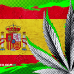 ¿El Cannabis Medicinal en España Podría Dispensarse También en Farmacias?