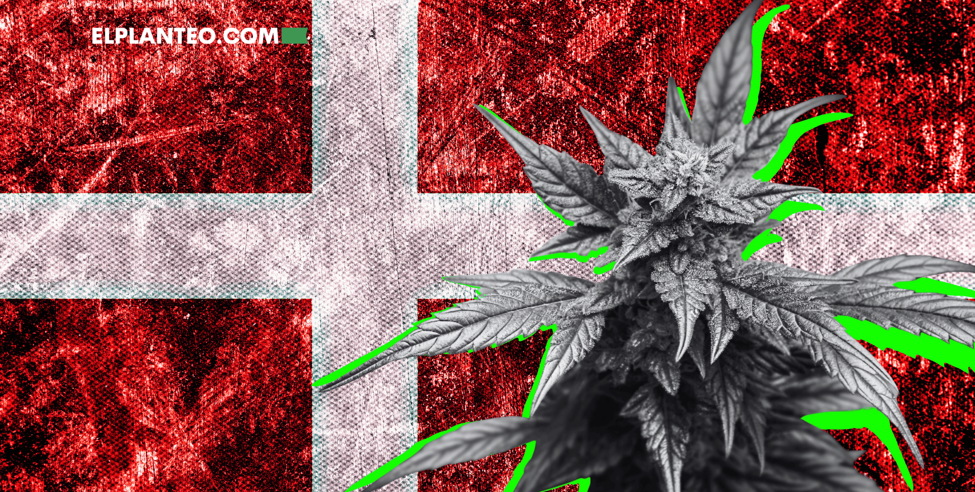 ¡Dinamarca Abre su Primer Club Social de Cannabis! ¡Dinamarca Abre su Primer Club Social de Cannabis!