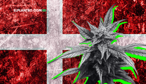 ¡Dinamarca Abre su Primer Club Social de Cannabis! ¡Dinamarca Abre su Primer Club Social de Cannabis!