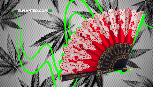 Cannabis y Perimenopausia: Una Guía Síntoma por Síntoma