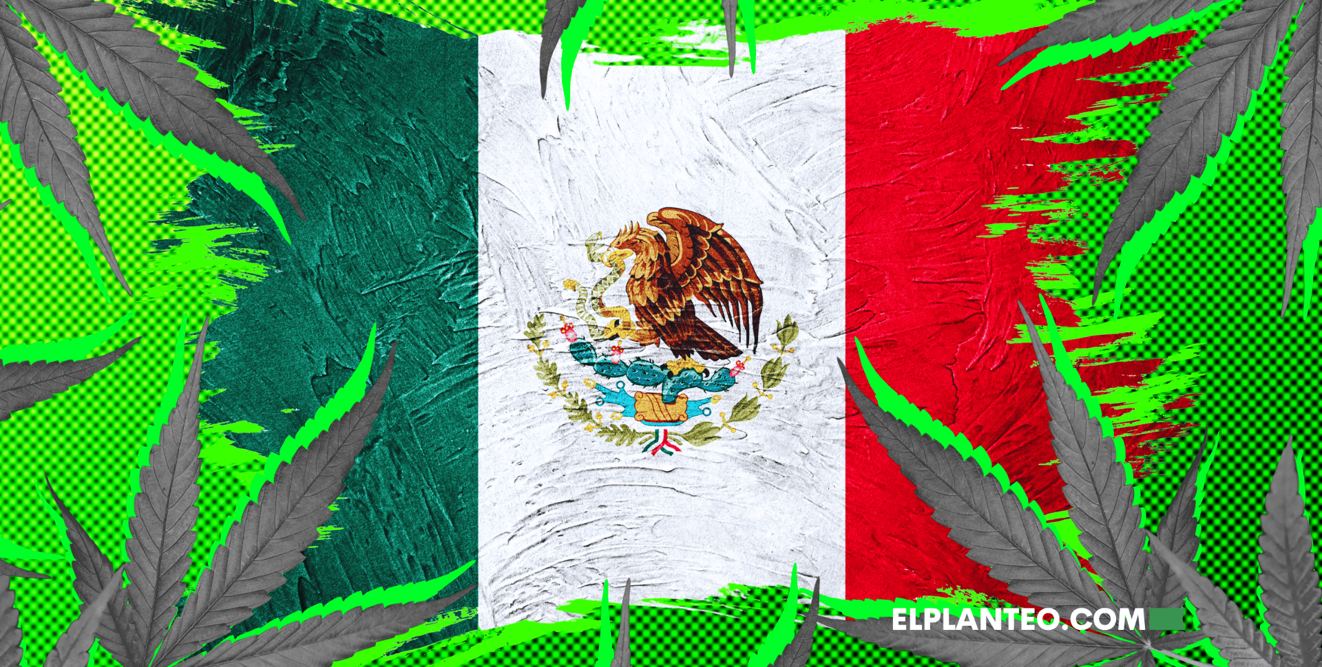 5G de Cannabis Ya No Son Delito Automático en México: La Nueva Decisión de la Corte Suprema 5G de Cannabis Ya No Son Delito Automático en México: La Nueva Decisión de la Corte Suprema