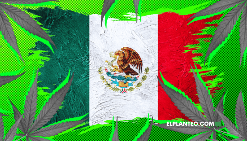 5G de Cannabis Ya No Son Delito Automático en México: La Nueva Decisión de la Corte Suprema 5G de Cannabis Ya No Son Delito Automático en México: La Nueva Decisión de la Corte Suprema