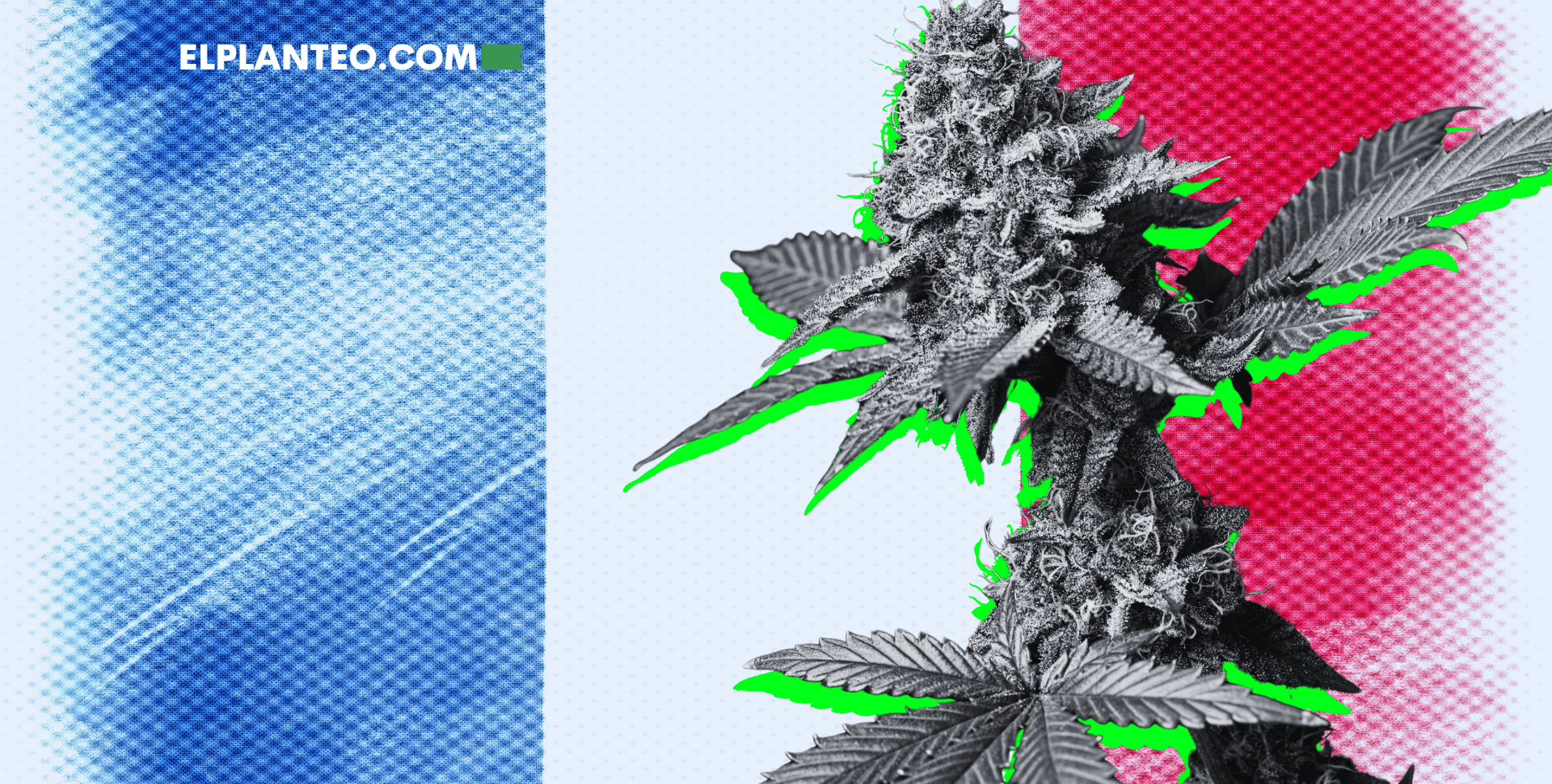 Francia Anuncia Cronograma para el Cannabis Medicinal