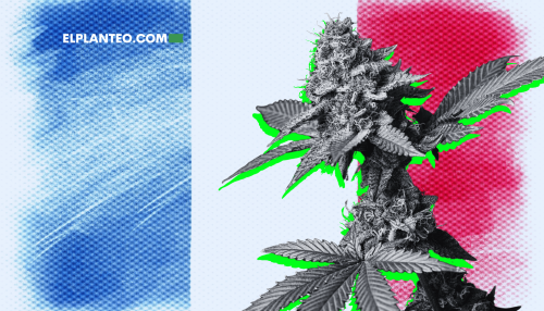 Francia Anuncia Cronograma para el Cannabis Medicinal