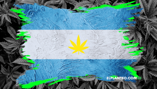 Argentina: ¿Se Termina la Espera para los Pacientes? Planean Sistema de Aprobaciones Automáticas en el Reprocann