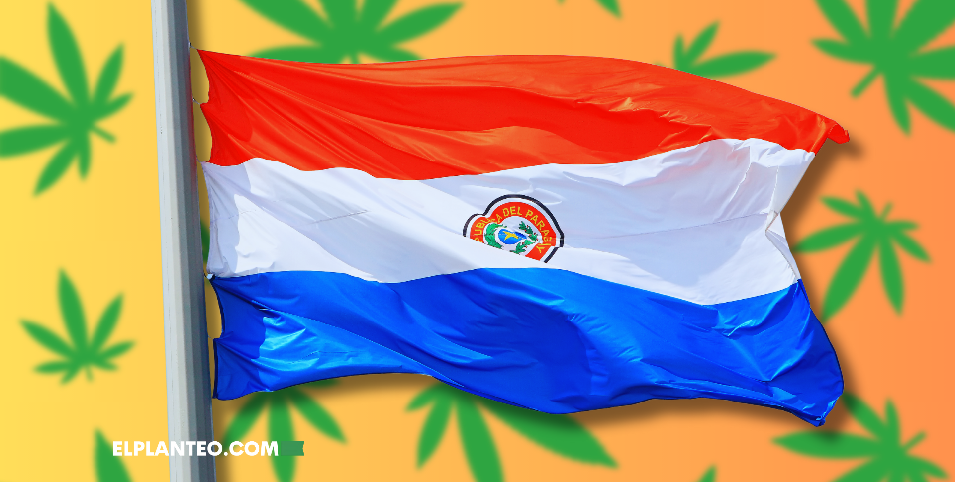 Recetas, Farmacias y Trazabilidad: Así Es el Nuevo Modelo de Cannabis Medicinal en Paraguay