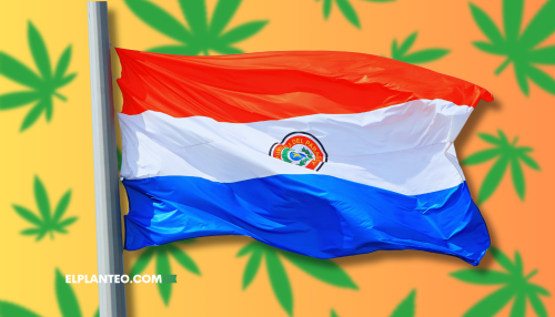 Recetas, Farmacias y Trazabilidad: Así Es el Nuevo Modelo de Cannabis Medicinal en Paraguay Recetas, Farmacias y Trazabilidad: Así Es el Nuevo Modelo de Cannabis Medicinal en Paraguay