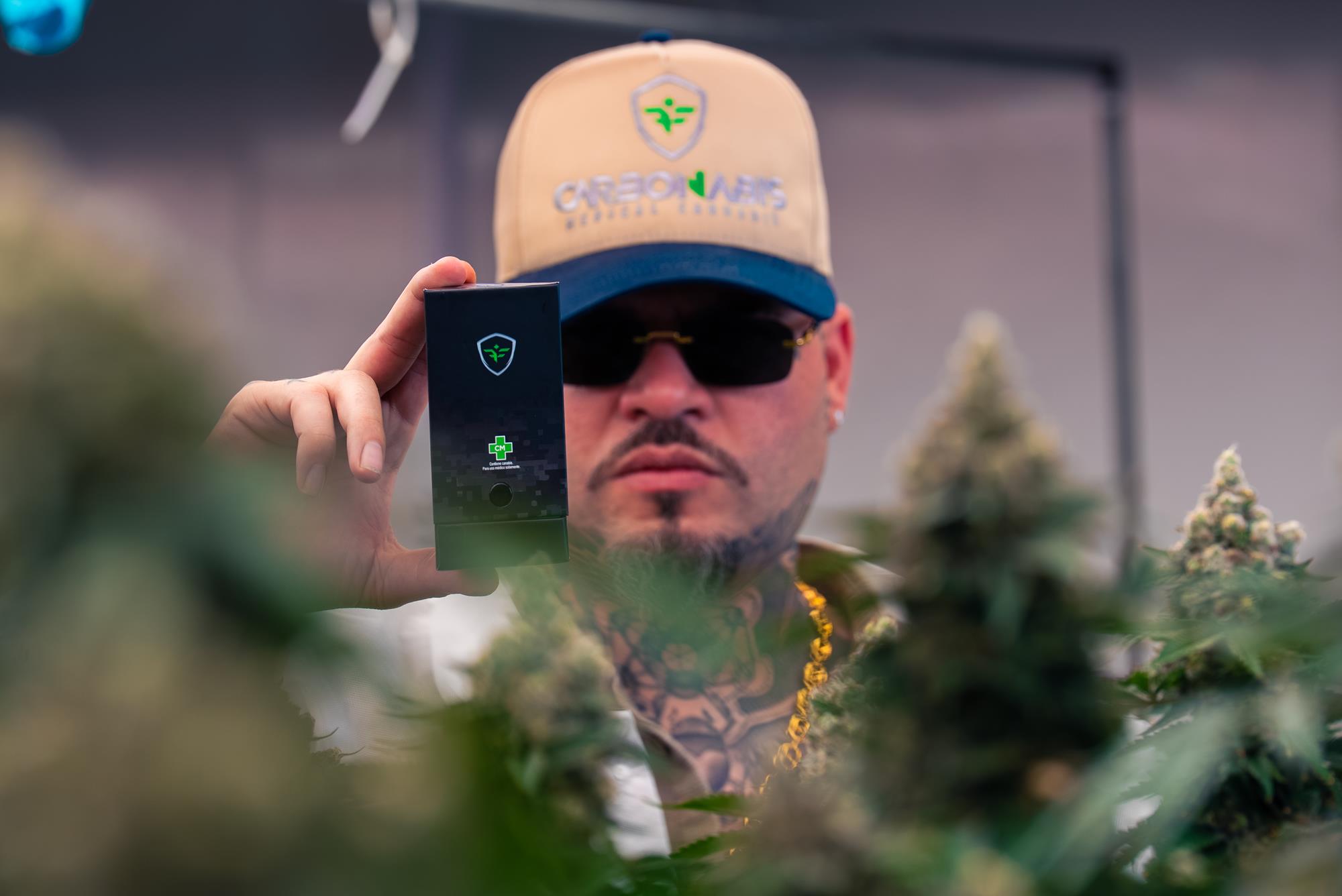 farruko cannabis