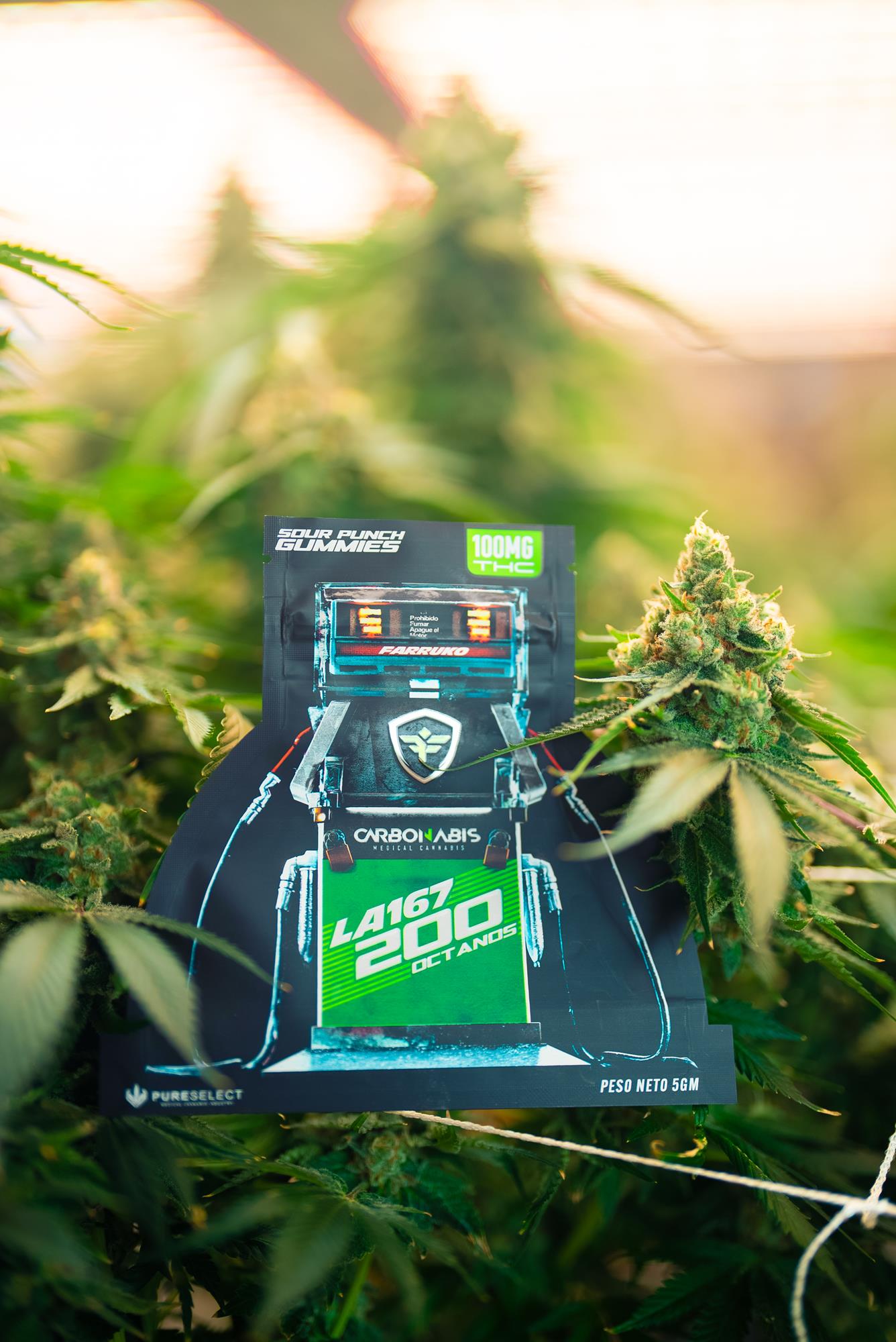 farruko cannabis carbonnabis