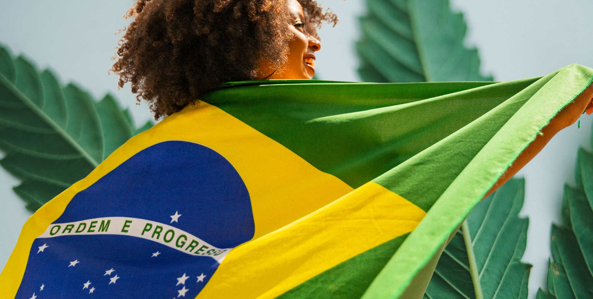 La Encrucijada del Cannabis en Brasil: Nuevas Reglas, Viejas Verdades y el Camino por Delante La Encrucijada del Cannabis en Brasil: Nuevas Reglas, Viejas Verdades y el Camino por Delante
