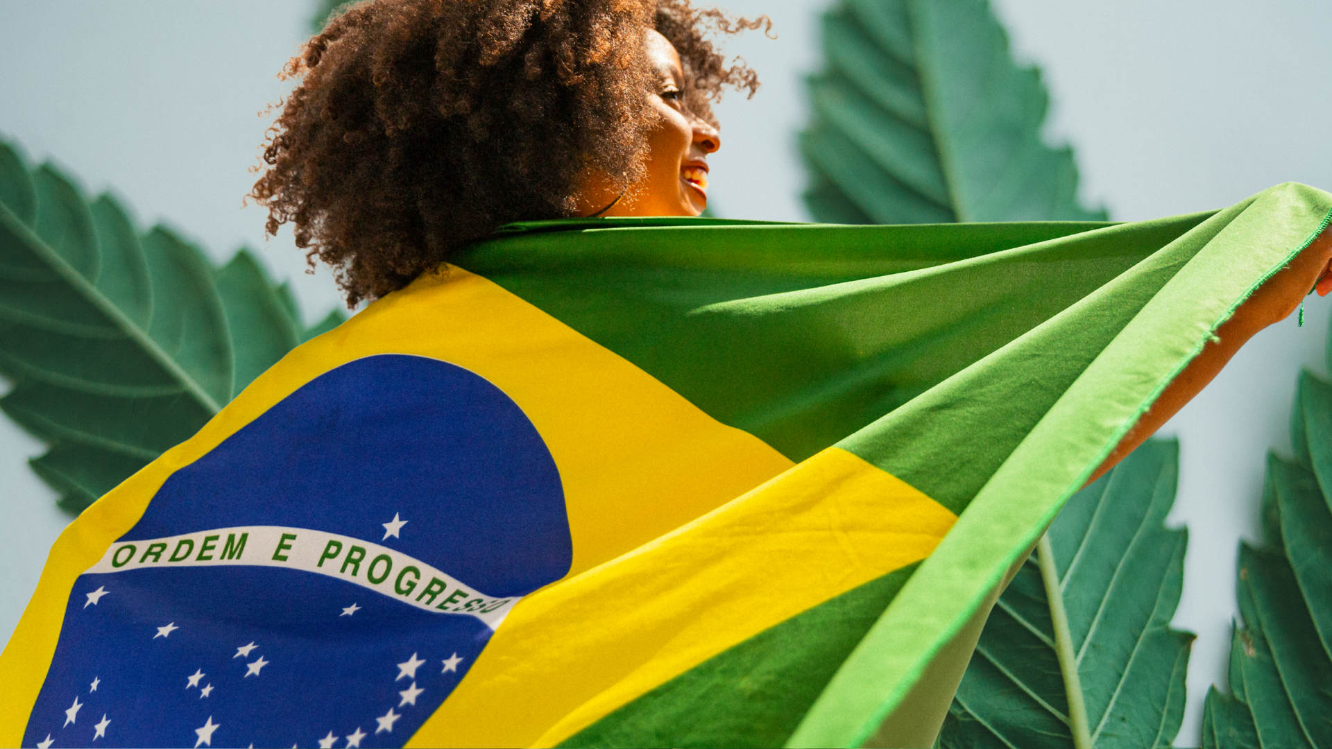 La Encrucijada del Cannabis en Brasil: Nuevas Reglas, Viejas Verdades y el Camino por Delante La Encrucijada del Cannabis en Brasil: Nuevas Reglas, Viejas Verdades y el Camino por Delante