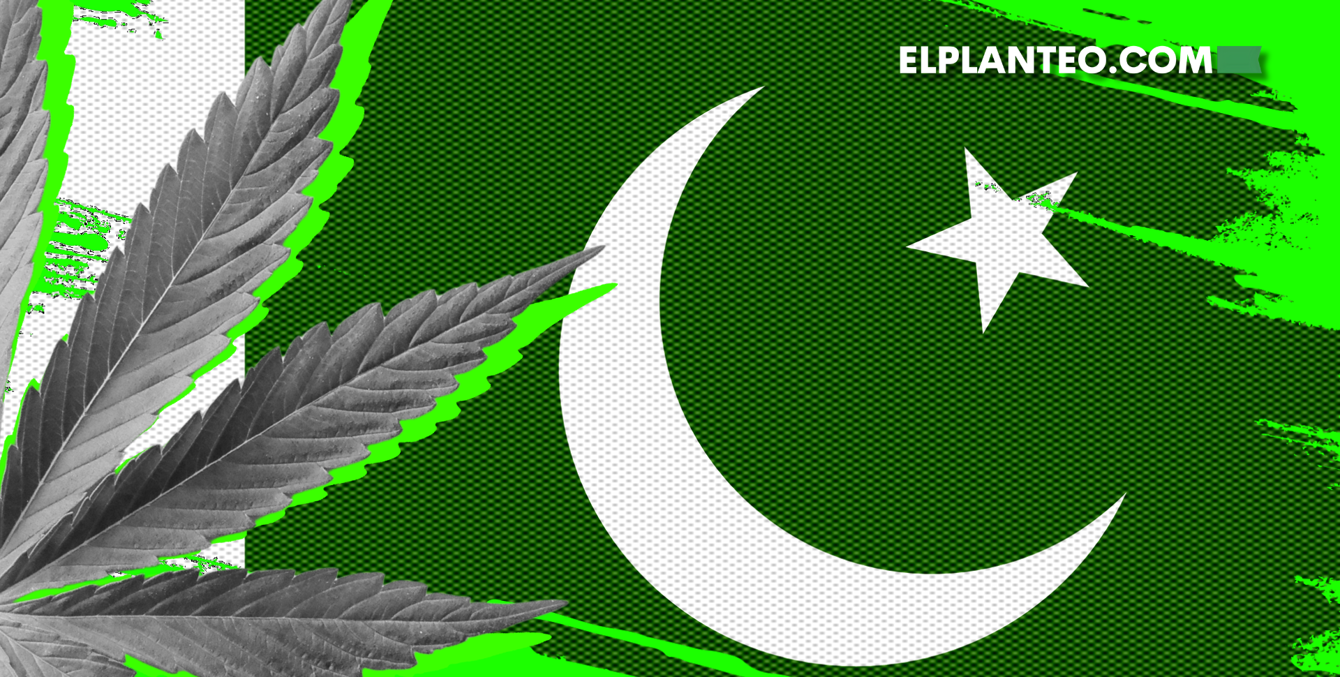 Pakistán Lanza su Primera Política Nacional de Cannabis Pakistán Lanza su Primera Política Nacional de Cannabis