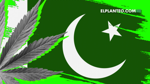 Pakistán Lanza su Primera Política Nacional de Cannabis Pakistán Lanza su Primera Política Nacional de Cannabis