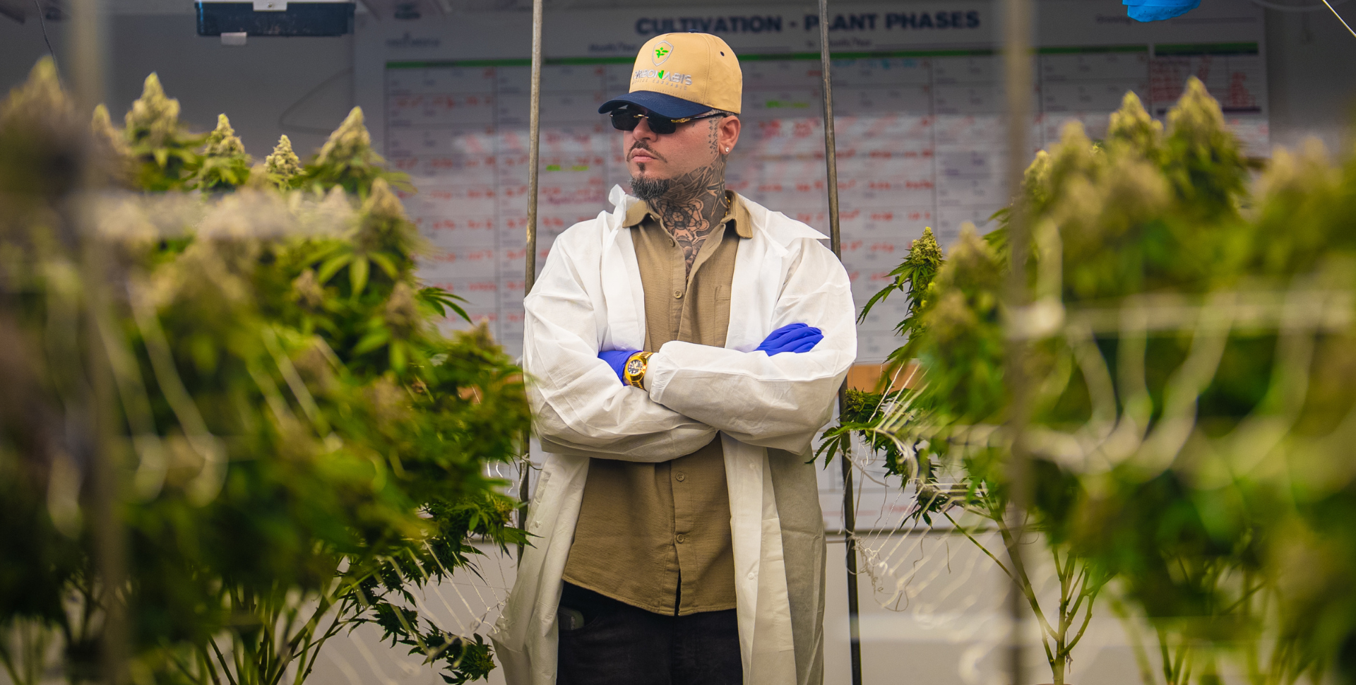 Farruko: ‘El Cannabis es un Acto de Rebeldía Contra un Sistema Opresor’ Farruko: ‘El Cannabis es un Acto de Rebeldía Contra un Sistema Opresor’