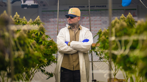 Farruko: ‘El Cannabis es un Acto de Rebeldía Contra un Sistema Opresor’