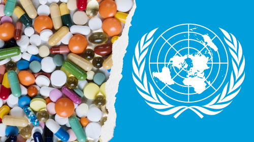 La ONU Tiene un Nuevo Panel de Expertos sobre Drogas: ¿Quiénes Son sus Miembros?