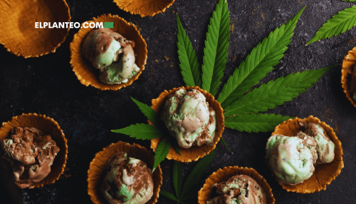 ¿Helado con Aroma a Cannabis? Una Heladería Rosarina se la Jugó con Esta Propuesta ¿Helado con Aroma a Cannabis? Una Heladería Rosarina se la Jugó con Esta Propuesta