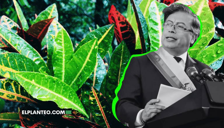 ‘El Cannabis Era Usado para Protestar, la Cocaína Es la Droga del Capital’: Gustavo Petro en la ONU