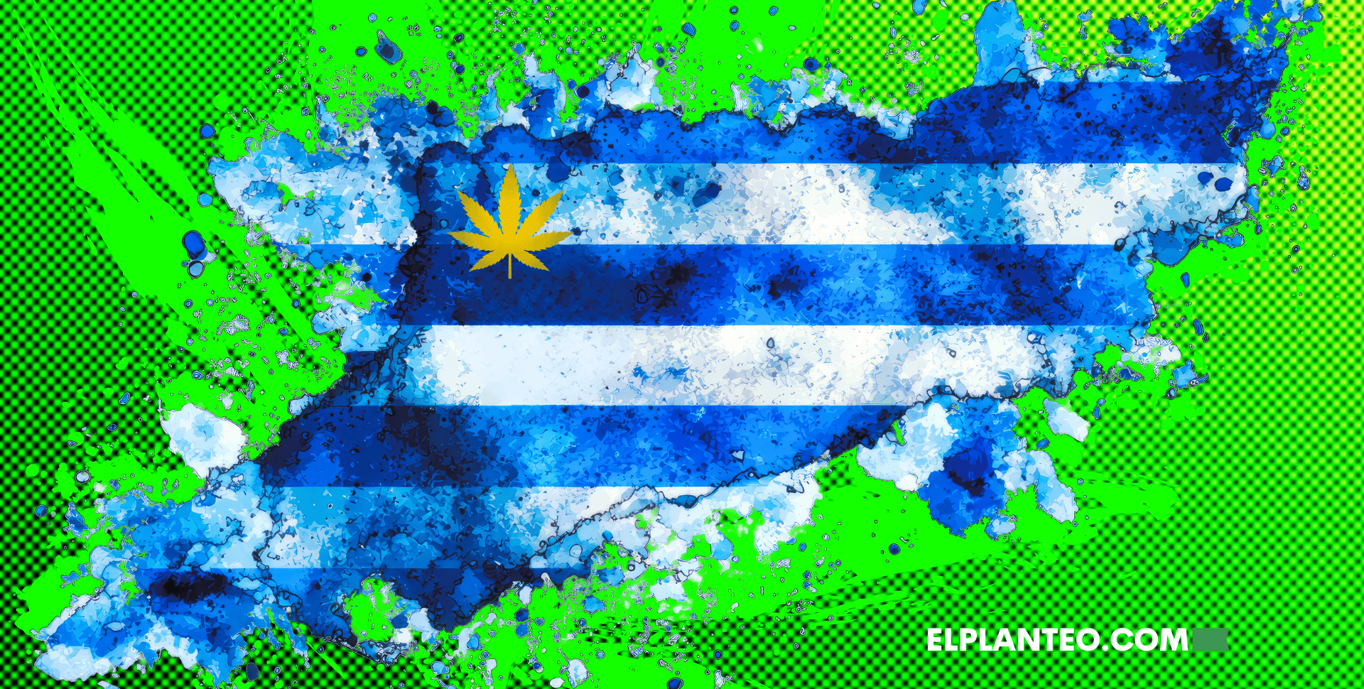 Cannabis en Uruguay, 12 Años Después: El Modelo que Redujo el Mercado Ilícito pero Hoy Enfrenta sus Propios Límites Cannabis en Uruguay, 12 Años Después: El Modelo que Redujo el Mercado Ilícito pero Hoy Enfrenta sus Propios Límites