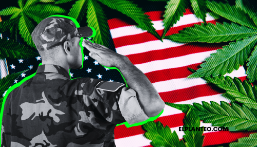 EEUU: Ahora Puedes Alistarte al Ejército Aunque Tengas un Antecedente por Cannabis, ¿Qué Cambió?