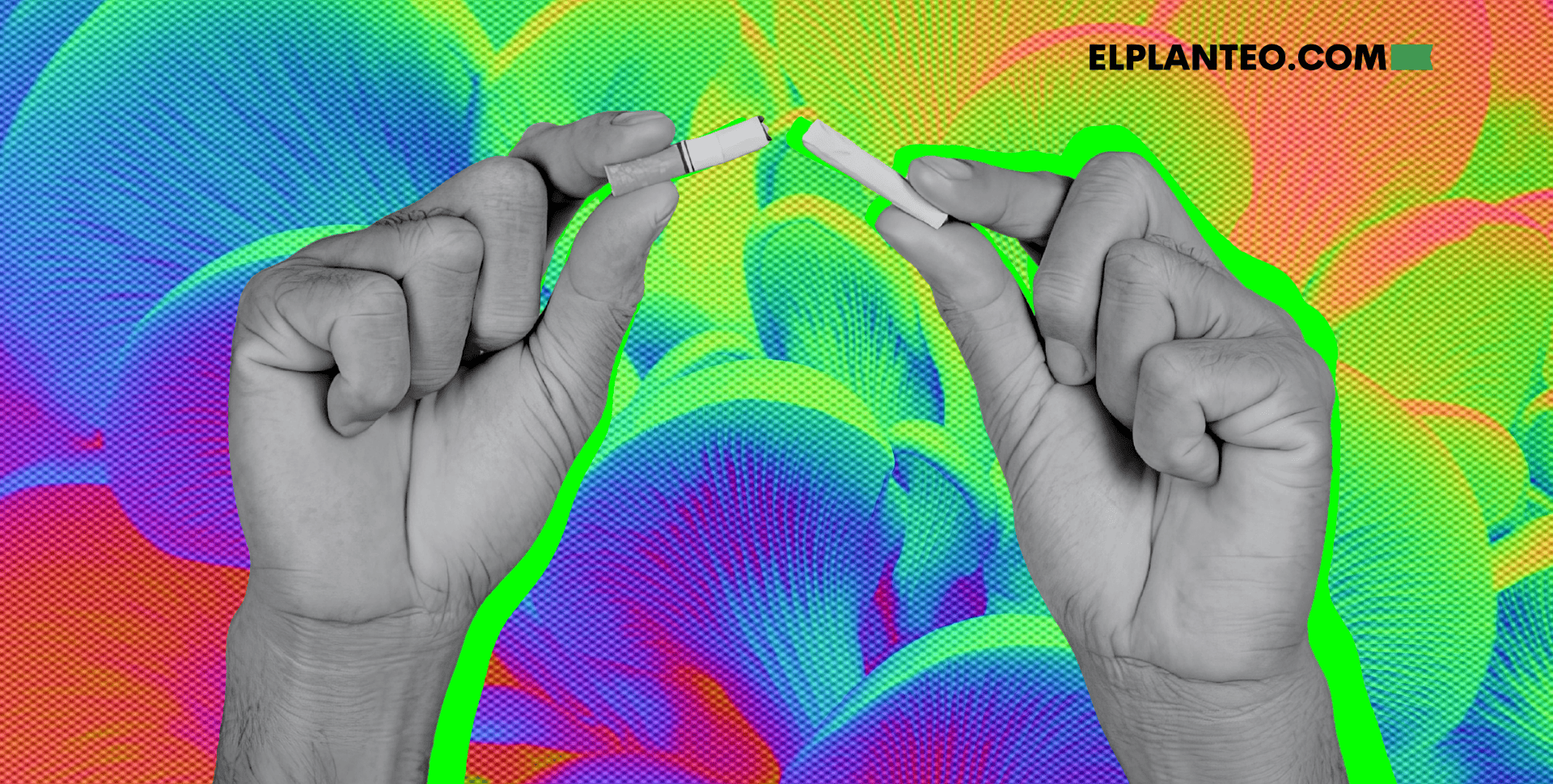 Hongos de Psilocibina Dejar de Fumar: ¿Mejores que los Parches de Nicotina? Estudio Investiga