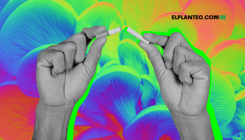 Hongos de Psilocibina Dejar de Fumar: ¿Mejores que los Parches de Nicotina? Estudio Investiga Hongos de Psilocibina Dejar de Fumar: ¿Mejores que los Parches de Nicotina? Estudio Investiga